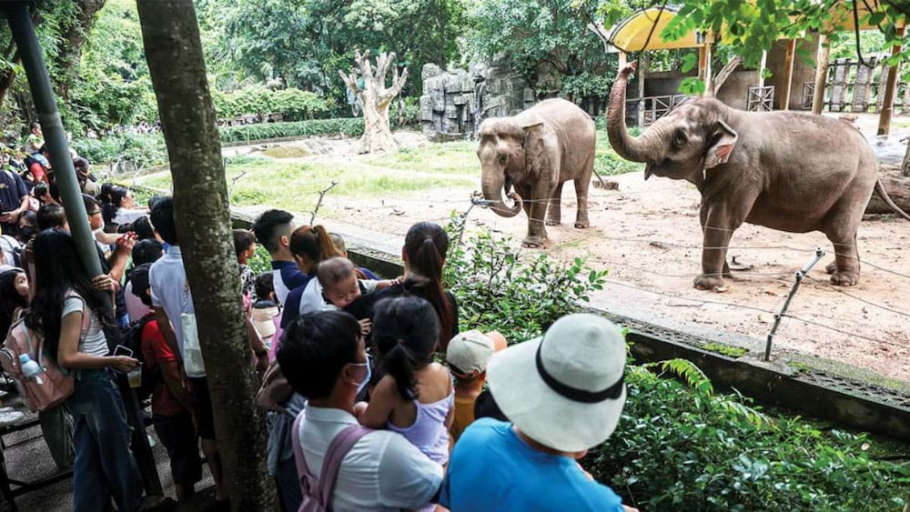 Trải nghiệm cho thú ăn tại sở thú.