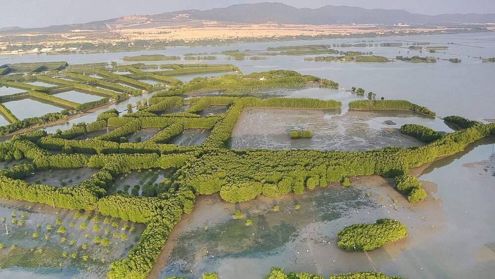 Đầm Thị Nại với mặt nước trong xanh, bao quanh là rừng ngập mặn và những ngọn núi (Ảnh: Sưu tầm Internet)