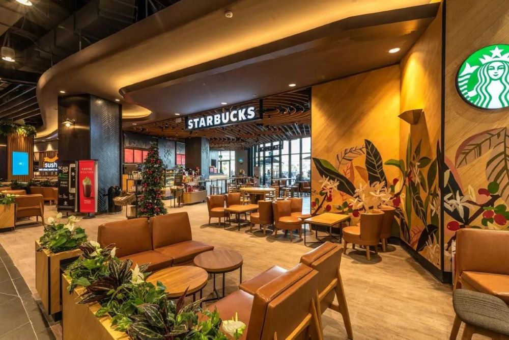 Không gian Starbucks Charmvit luôn tràn ngập ánh sáng tự nhiên, tạo cảm giác thư thái 
