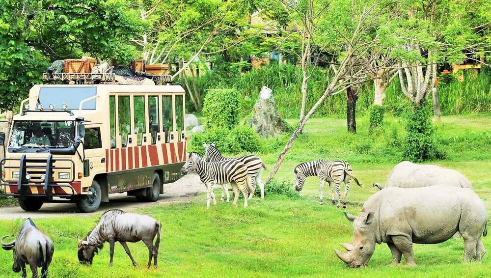 FLC Zoo Safari Park với nhiều loài động vật hoang dã (Ảnh: Sưu tầm internet)