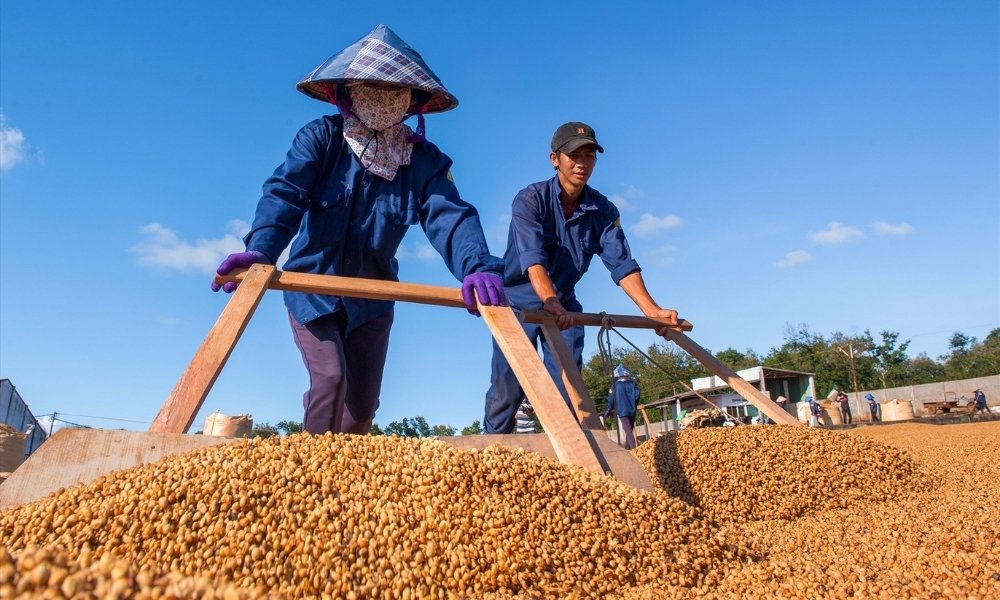 Đồn Điền CADA có ý nghĩa đặc biệt trong việc phát triển ngành cà phê.