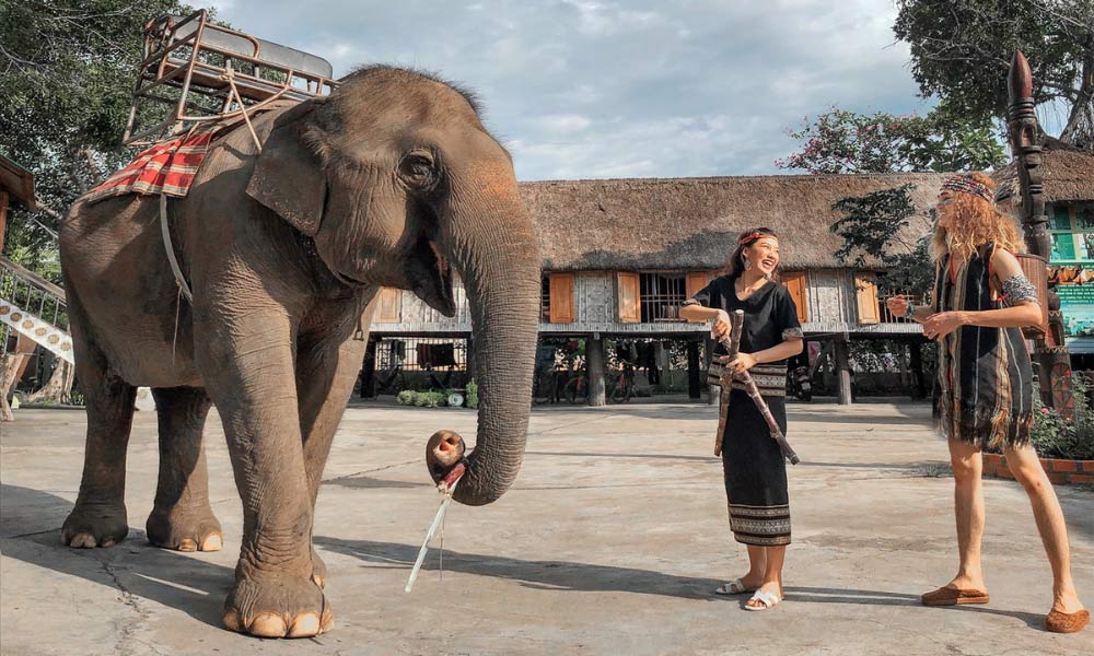 Tại Bản Đôn, bạn sẽ được nghe kể chuyện về những nài voi