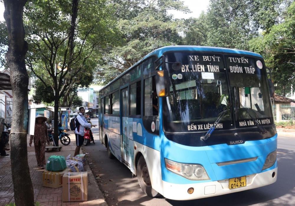 Có rất nhiều tuyến xe bus tiện lợi, phù hợp với hành trình của bạn