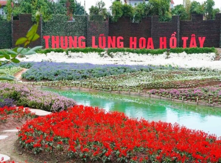 Thung lũng hoa Hồ Tây