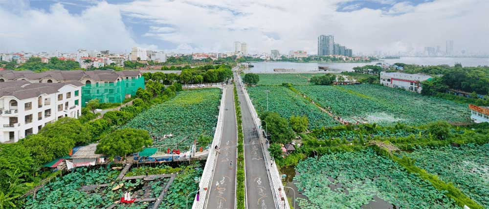 Đầm sen rất rộng nên có nhiều trải nghiệm thú vị cho bạn. (