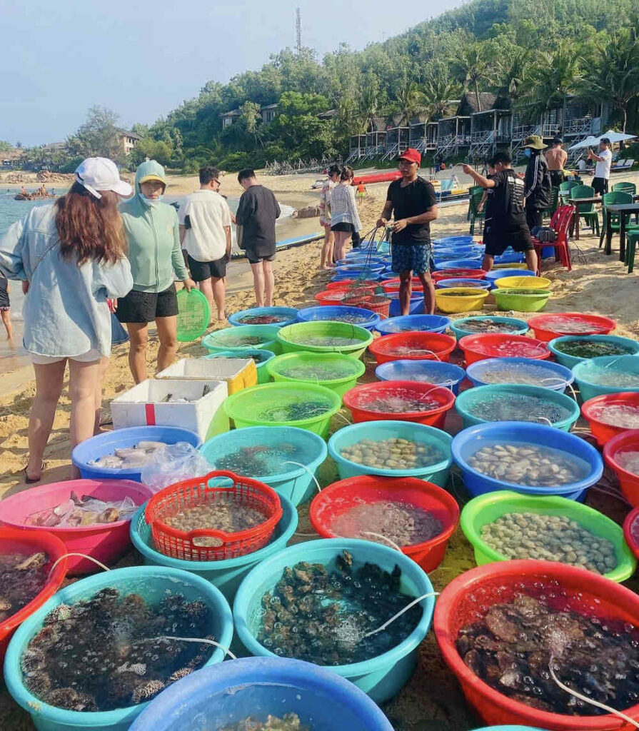 Chợ Bãi Xếp nằm gần bãi biển, với các loại hải sản đa dạng (Ảnh: Sưu tầm Internet)