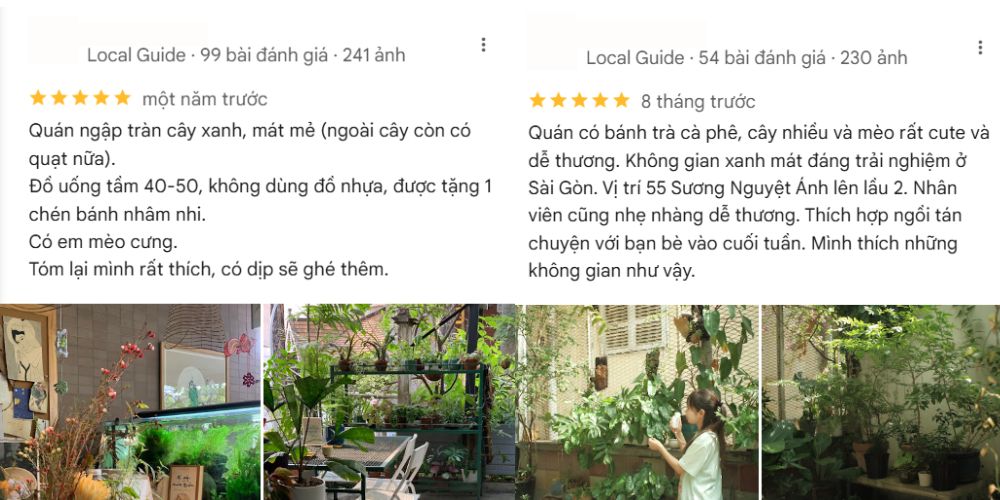 Những phản hồi của khách hàng về không gian xanh mát của quán. 