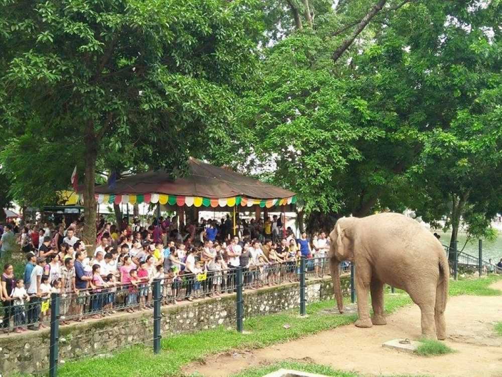 Công viên Thủ Lệ là một điểm đến lý tưởng để khám phá thế giới động vật
