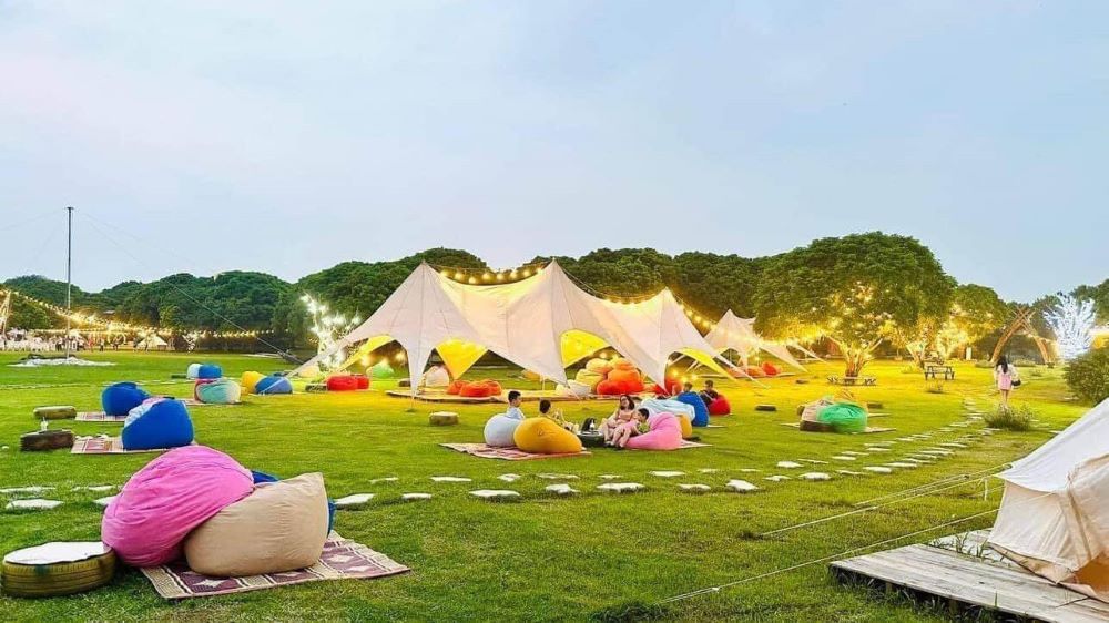 Tổ chức picnic cùng bạn bè và người thân tại vườn nhãn 
