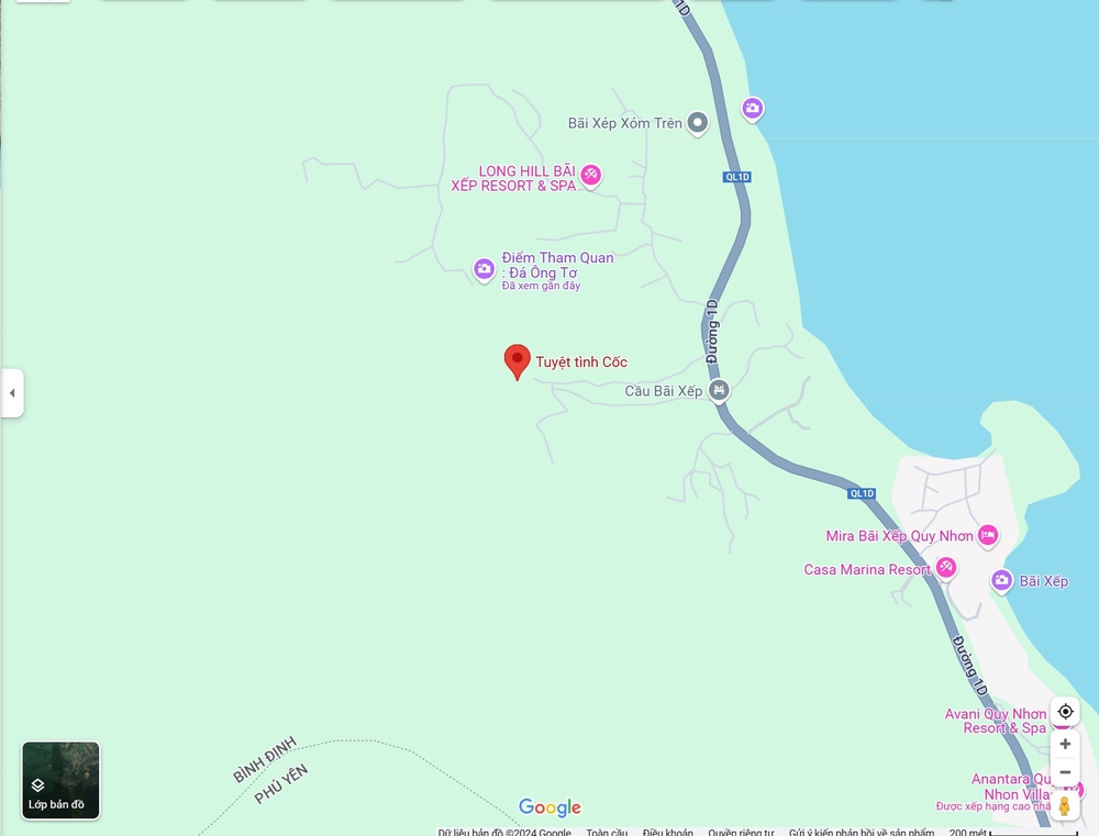 Vị trí Tuyệt Tình Cốc Quy Nhơn trên bản đồ (Ảnh: Google maps)