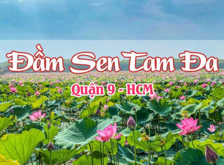 Đầm sen Tam Đa