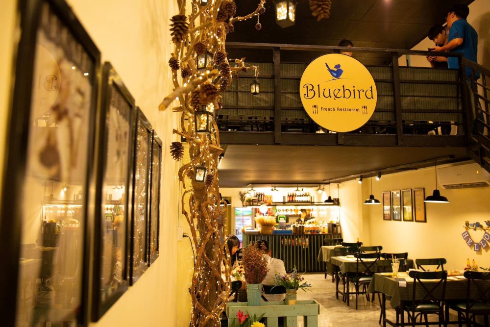 Bluebird French Restaurant là vị trí hứa hóa hoàn hảo cho tới thanh niên Tân Phú