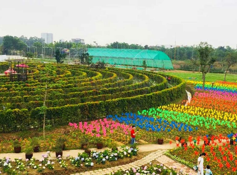 Công viên Hoa Hồng Rose Park - Điểm đến mơ mộng giữa lòng đô thị