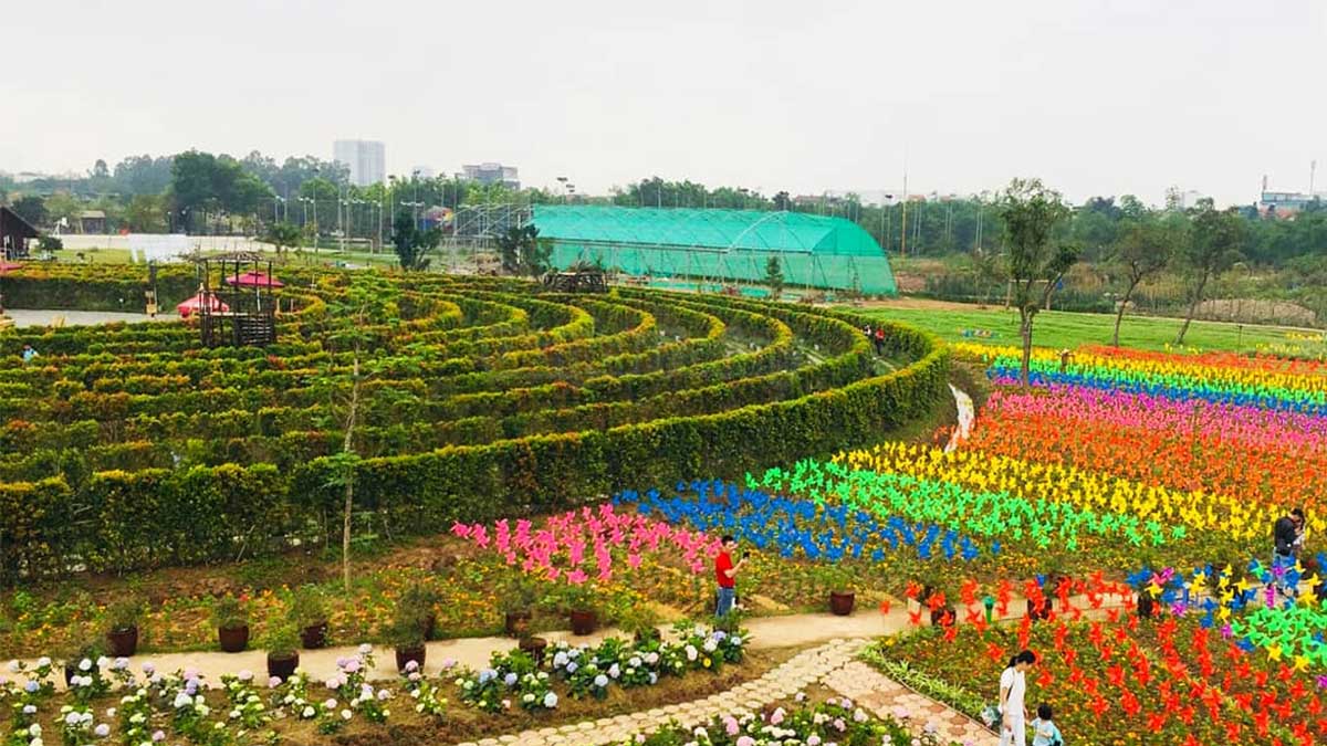 Công viên Hoa Hồng Rose Park - Điểm đến mơ mộng giữa lòng đô thị