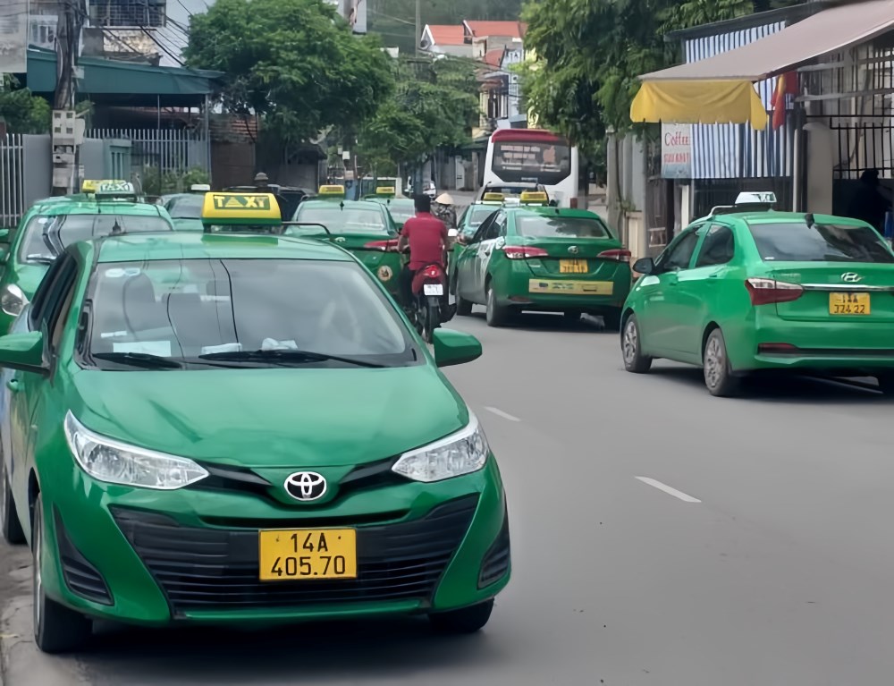 Danh sách taxi Quảng Ninh uy tín không thể thiếu thương hiệu Mai Linh 