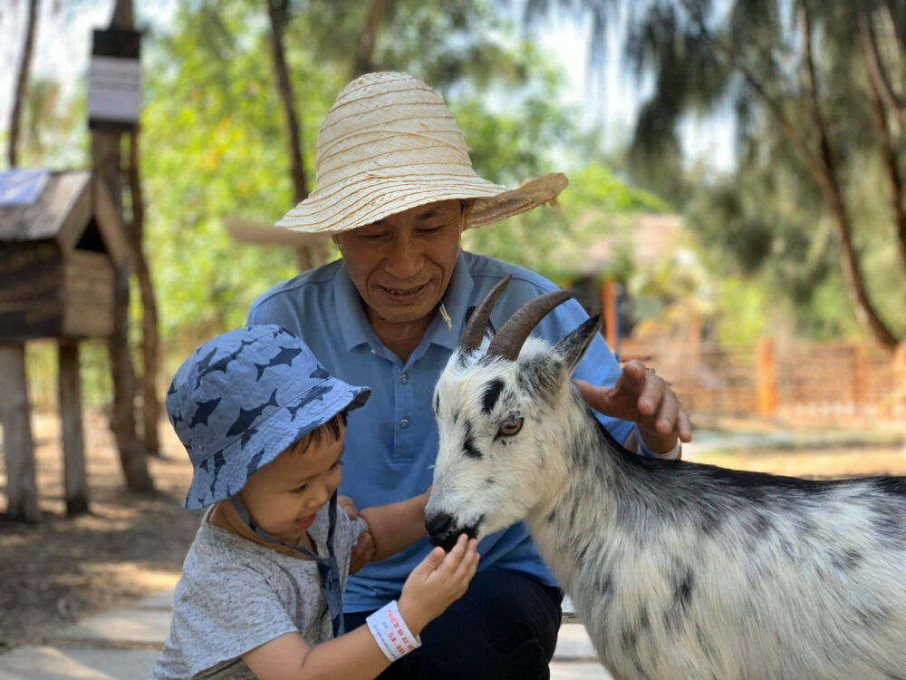 Em bé thích thú khi được tận tay sờ vào chú dê thân thiện (Ảnh: Nguồn FLC Zoo Safari Park)