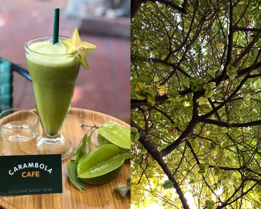 Nước ép khế là một trong những thức uống nên thử trong Cafe Carambola Menu