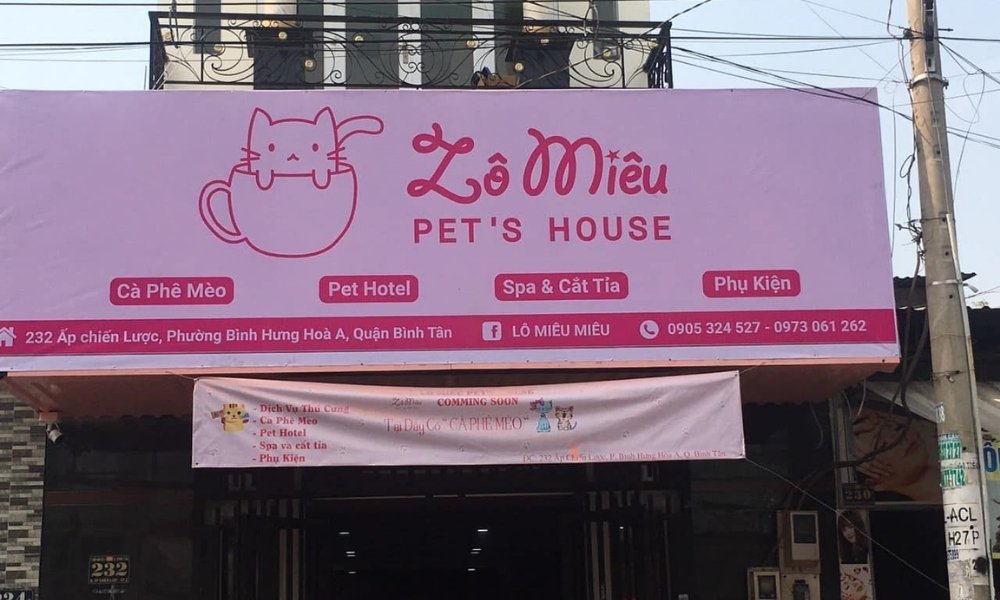 Lô Miêu Pet’s House là điểm đến quen thuộc của nhiều tín đồ mê mèo tại Hồ Chí Minh 