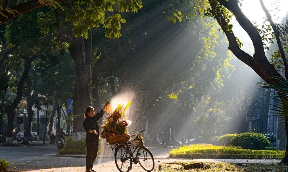 Phố Phan Đình Phùng mùa xuân thật dịu dàng và thanh bình