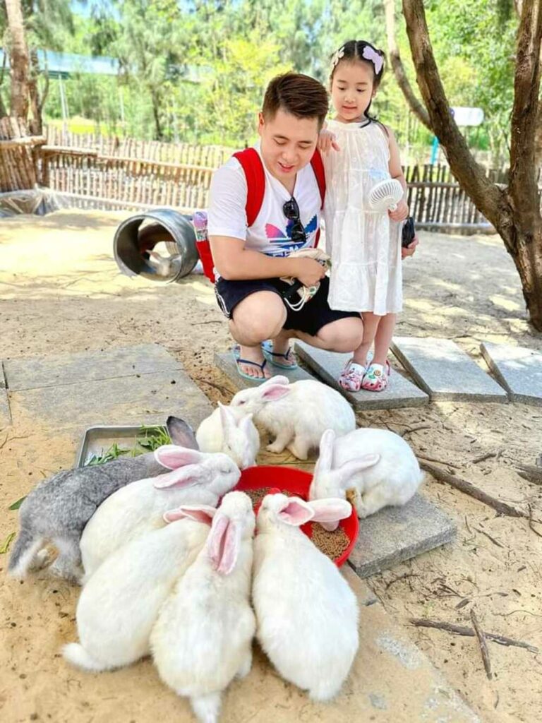 Du khách đang ngắm nhìn những chú thỏ đáng yêu đang thưởng thức bữa ăn (Ảnh: Nguồn FLC Zoo Safari Park)