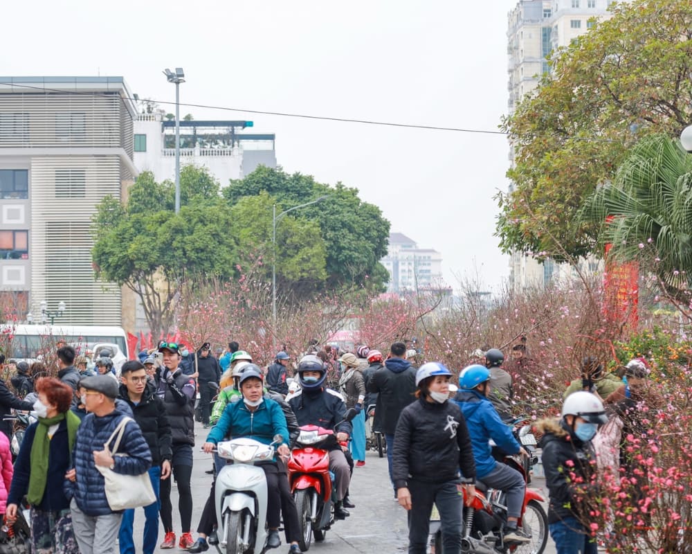 Mỗi dịp Tết đến, người dân nô nức đi chọn đào trưng Tết (Ảnh: Sưu tầm Internet)