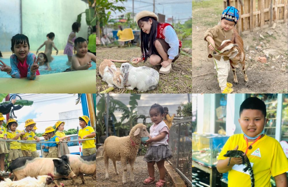 Baby Farm là một trong các khu vui chơi Đà Nẵng mang tính giáo dục cao