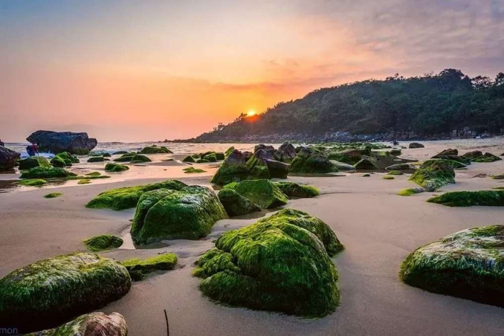 Bãi biển Nam Ô là điểm check-in độc đáo của nhiều du khách (Ảnh: Google Maps)