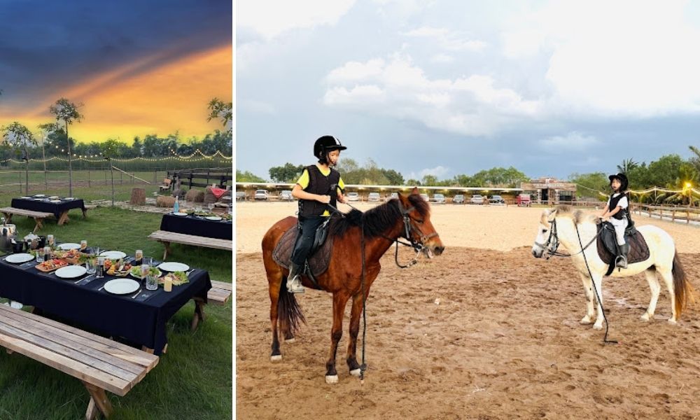 Những hoạt động đáng trải nghiệm tại Vietgangz Horse Club Saigon Quận 9