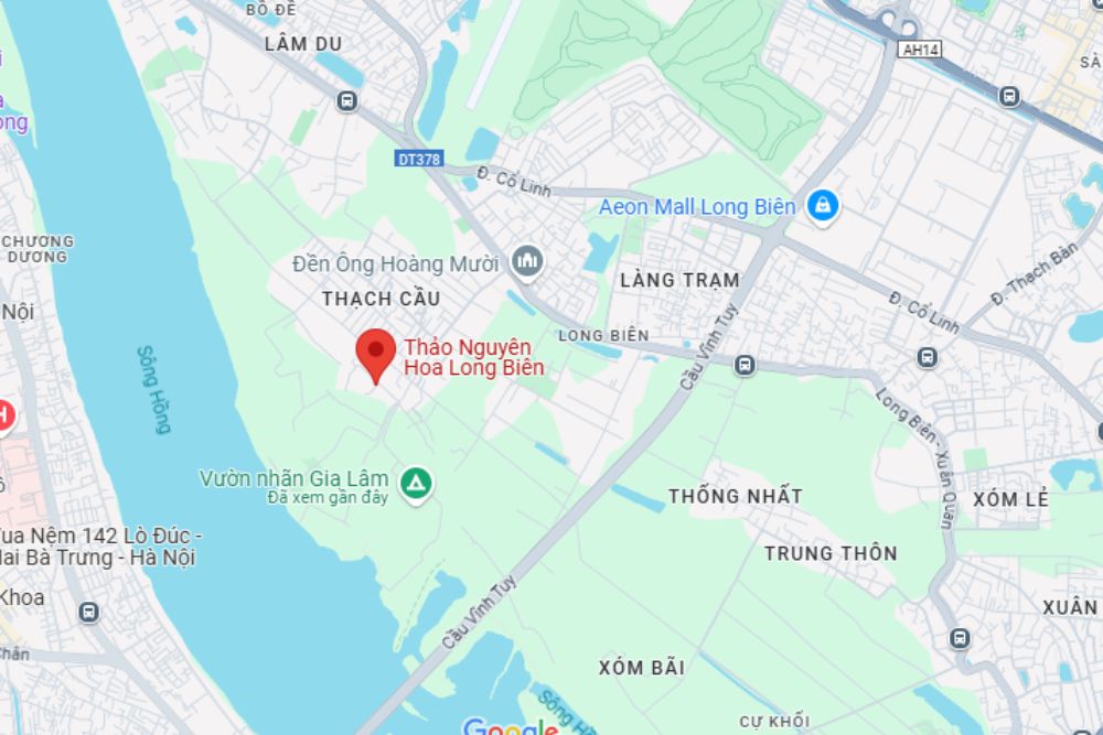 Thảo nguyên hoa nằm tại bãi Thạch Bàn, Long Biên, Hà Nội (Ảnh: Google Maps)