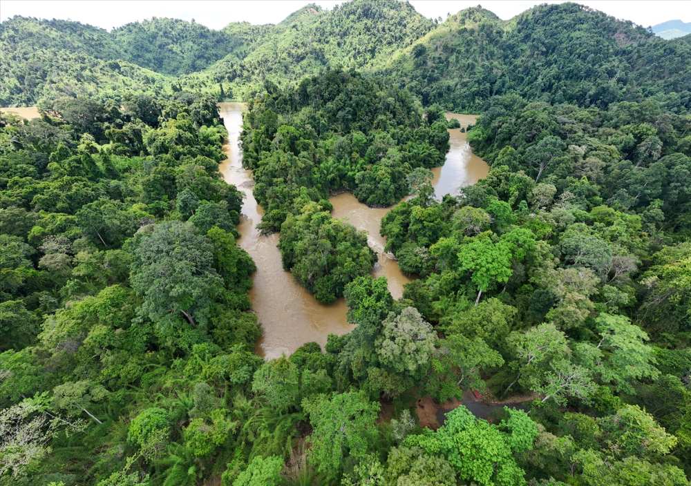 Khung cảnh rừng nguyên sinh tại Vườn Quốc Gia Cát Tiên, nơi lý tưởng cho những ai yêu thiên nhiên hoang dã (Ảnh: Sưu tầm Internet)