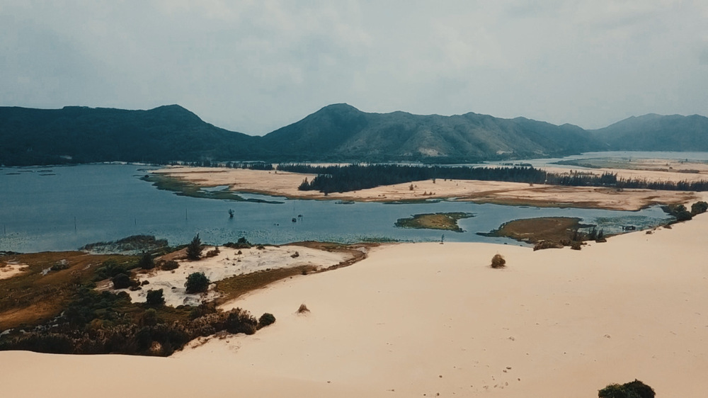 Đồi cát Phương Mai với những cồn cát trắng mịn, trải dài tít tắp (Ảnh: Sưu tầm internet)