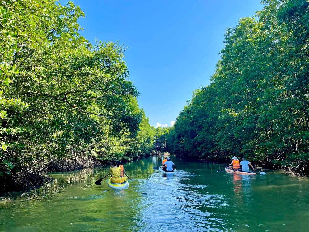 Cồn Chim Quy Nhơn với vẻ đẹp hoang sơ, yên bình, là nơi lý tưởng để thư giãn, hòa mình vào thiên nhiên (Ảnh: Sưu tầm internet)