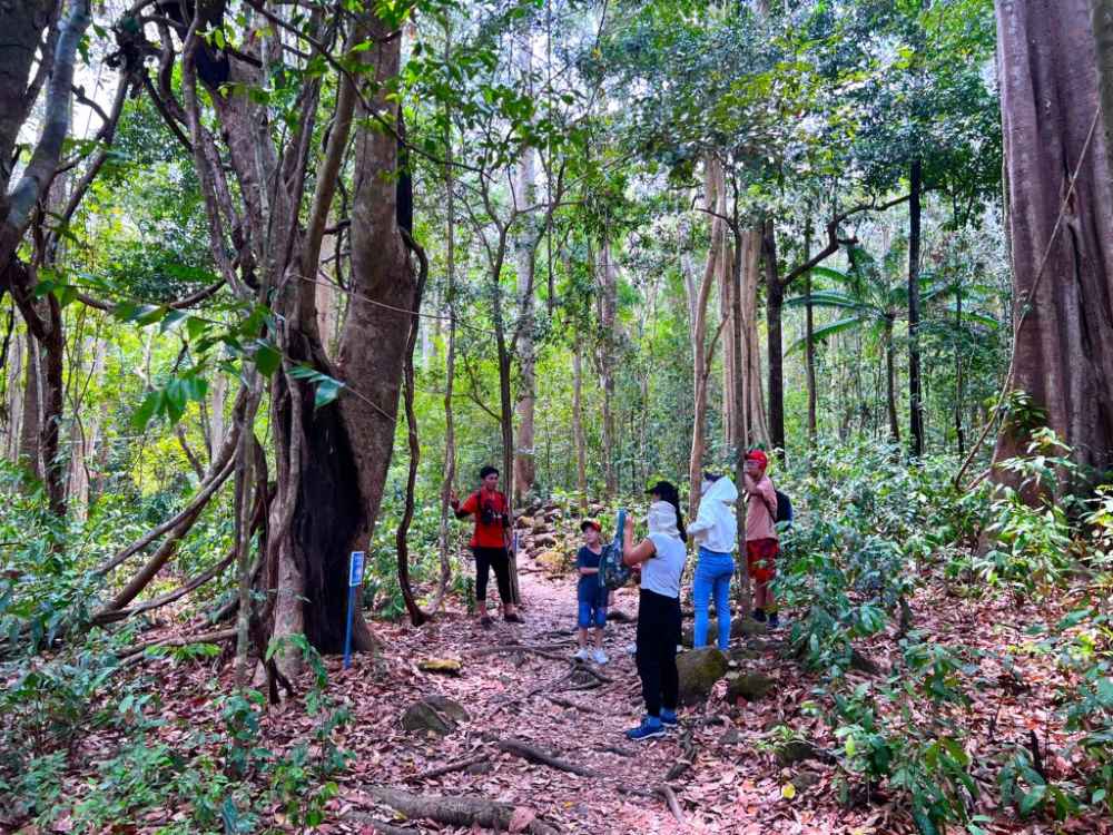 Trekking xuyên rừng, hoạt động yêu thích của những người đam mê khám phá thiên nhiên (Ảnh: Sưu tầm Internet)