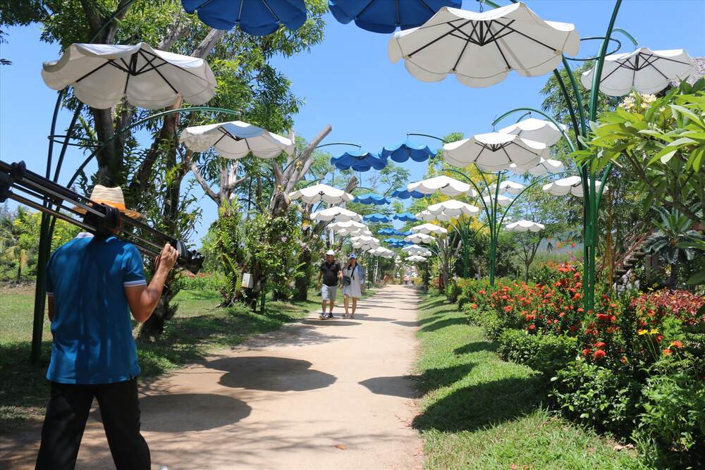 Suối Hoa Lan khoác lên mình sắc màu rực rỡ từ những vườn hoa lan, tạo nên một không gian thiên nhiên tuyệt đẹp (Ảnh: Sưu tầm internet)