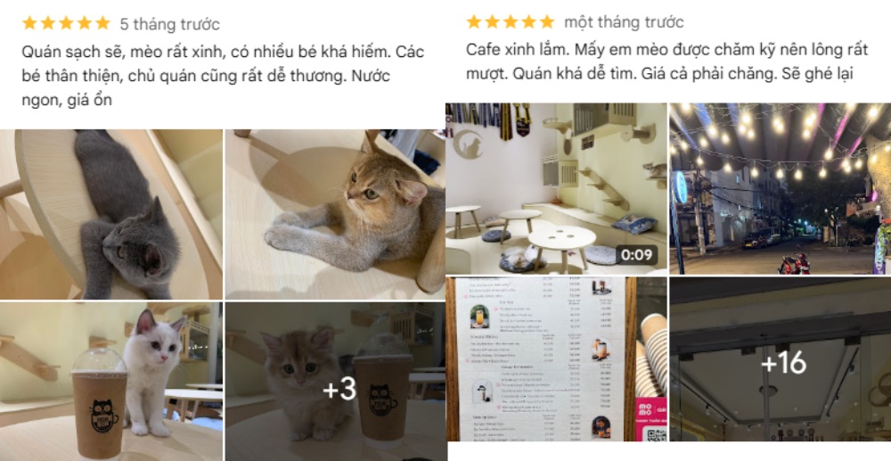 Khách thích quán vì mèo thân thiện, chủ quán dễ thương, giá nước hợp lý (Ảnh: Google Maps)