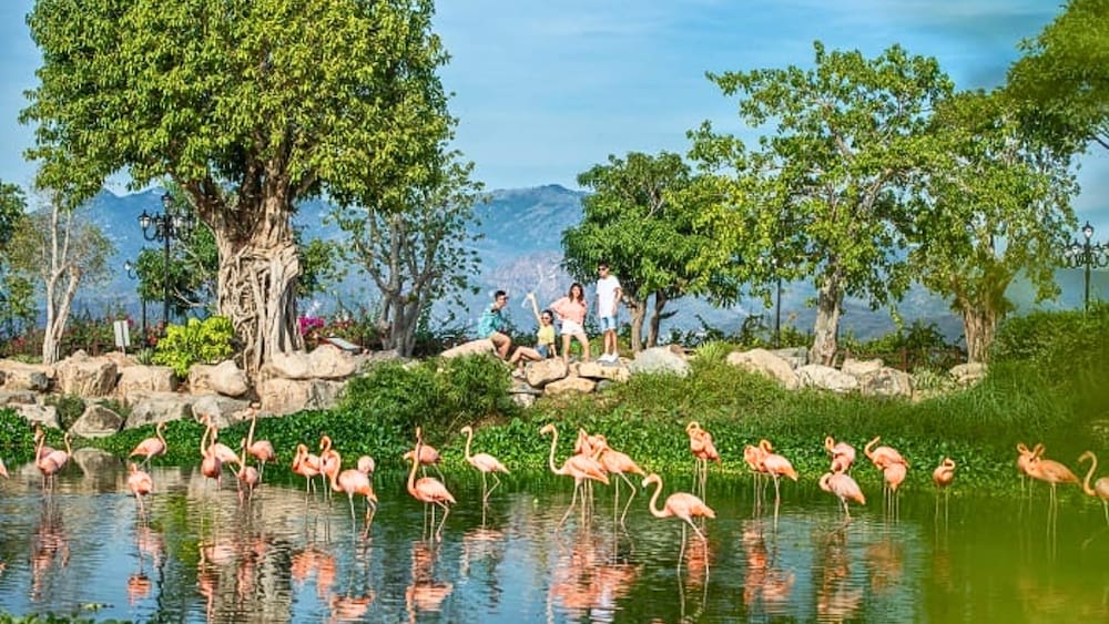 Vườn thú thu nhỏ - King’s Garden tại VinWonders Nha Trang