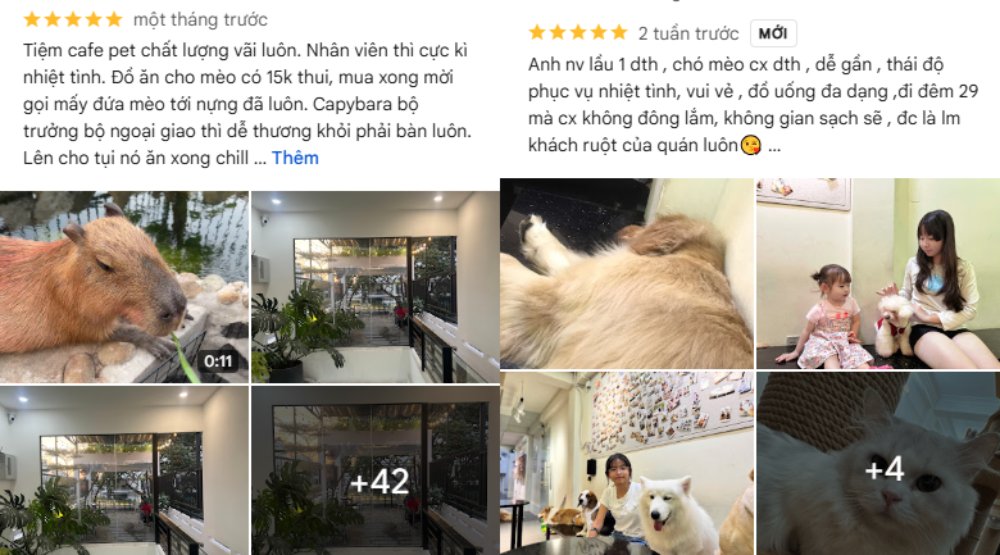 Khách đánh giá quán vui, thú cưng dễ thương, nhân viên phục vụ nhiệt tình (Ảnh: Google Maps)