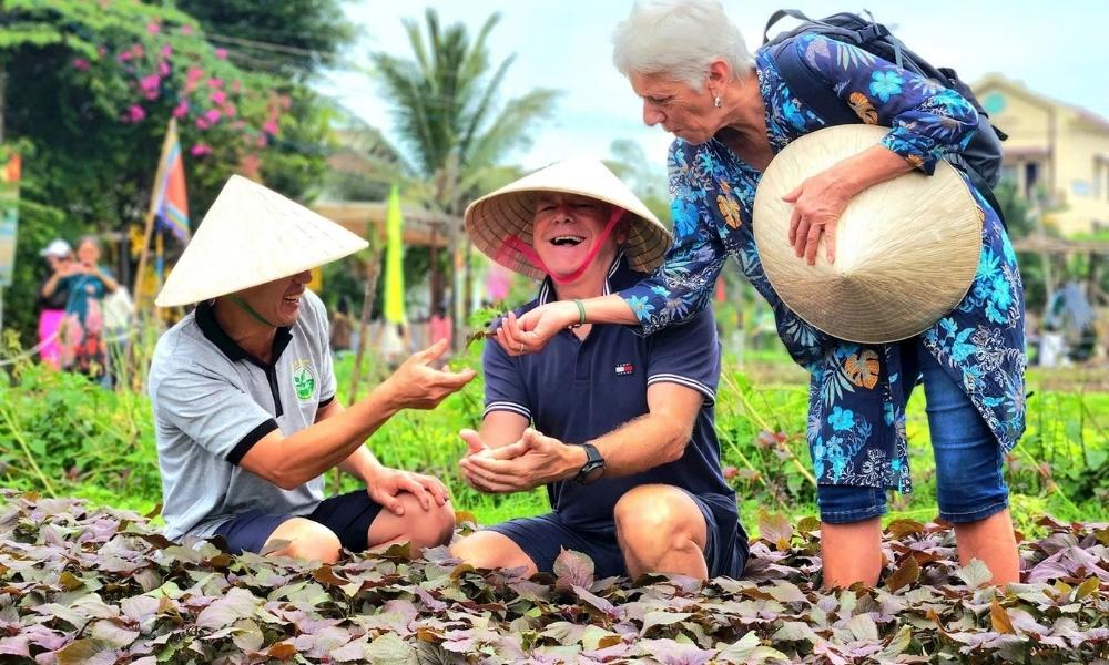 Du khách được tham gia tìm hiểu về các loại rau ở làng rau Trà Quế 