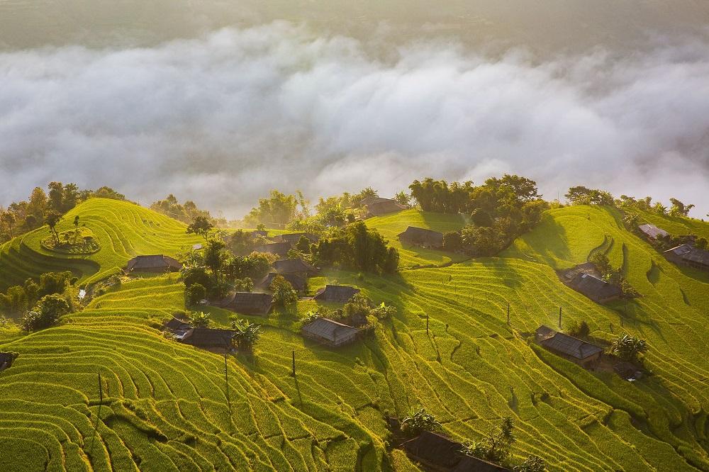 Hoàng Su Phì bước vào “mùa vàng” làm say đắm lòng người