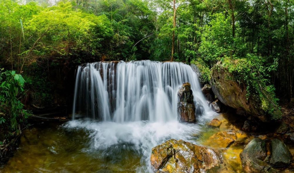 Đây là địa điểm lý tưởng để hít thở không khí trong lành và hòa mình vào thiên nhiên