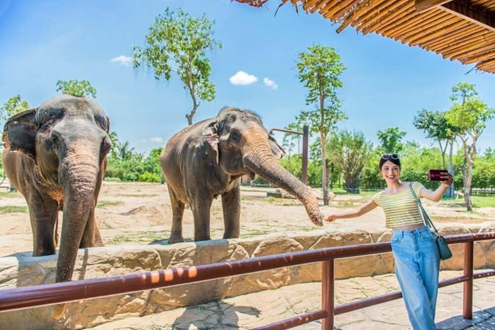 Trải nghiệm chụp ảnh tại River Safari, khám phá thế giới động vật độc đáo (Ảnh: Sưu tầm Internet)