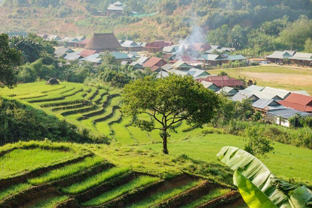 Ruộng bậc thang Chuôr 