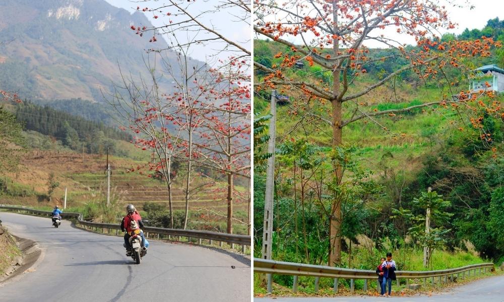 Tận hưởng cảm giác chinh phục những con đường đèo quanh co tại Hà Giang