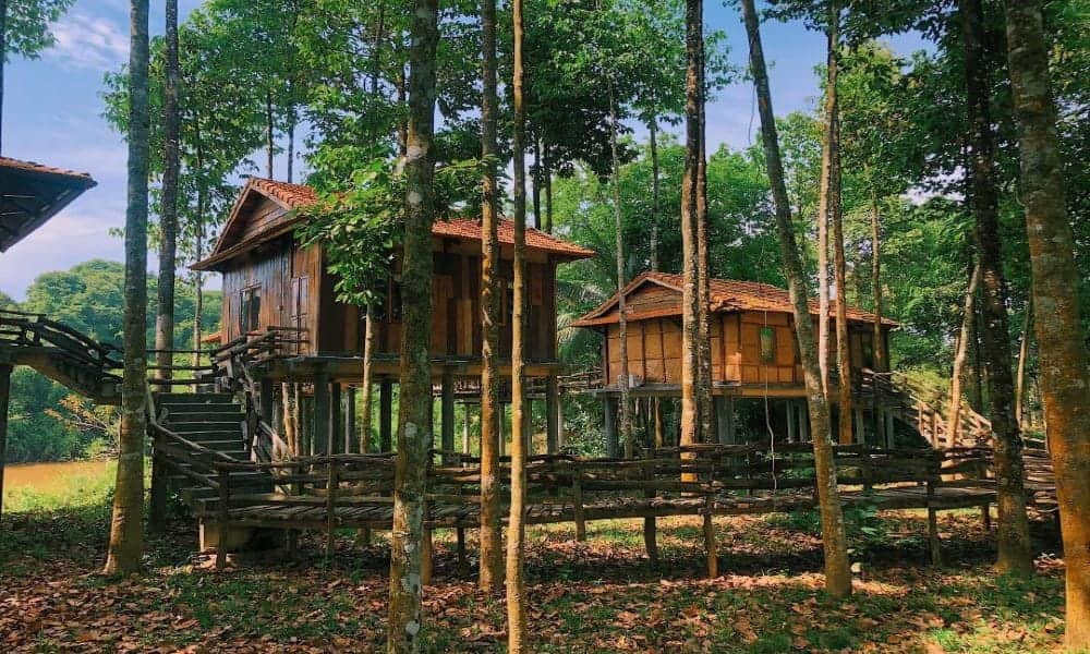 Du khách có thể nghỉ chân tại Green Bamboo Lodge hay Cat Tien Jungle Lodge (Ảnh: Sưu tầm Internet)