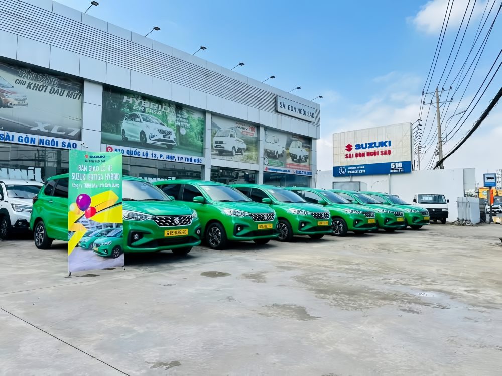 Màu xanh đặc trưng của thương hiệu taxi Mai Linh (Ảnh: Mai Linh Bình Dương)