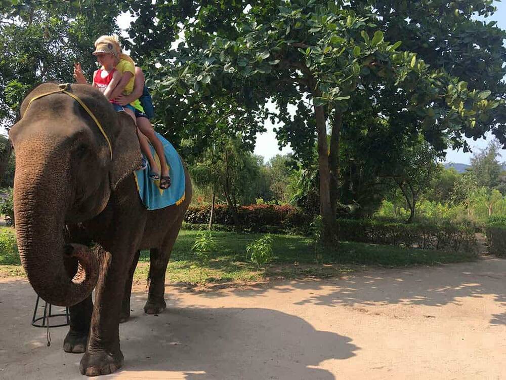 Trải nghiệm cưỡi voi trên đảo Hoa Lan mang đến cảm giác phấn khích và mới lạ, giúp du khách khám phá vẻ đẹp hoang sơ của đảo từ một góc nhìn khác (Ảnh: Sưu tầm internet)