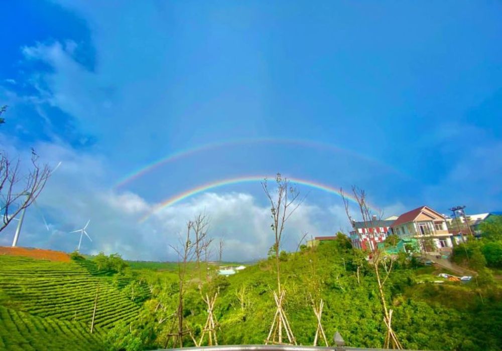 View của Rainbow Homestay nhìn ra đồi chè và quạt điện (Ảnh: Sưu tầm Internet)