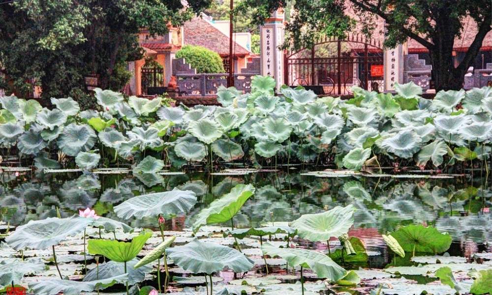 Chùa tọa lạc trên khu đất ven hồ mang đến không gian thanh bình, tách biệt sự ồn ào của phố thị