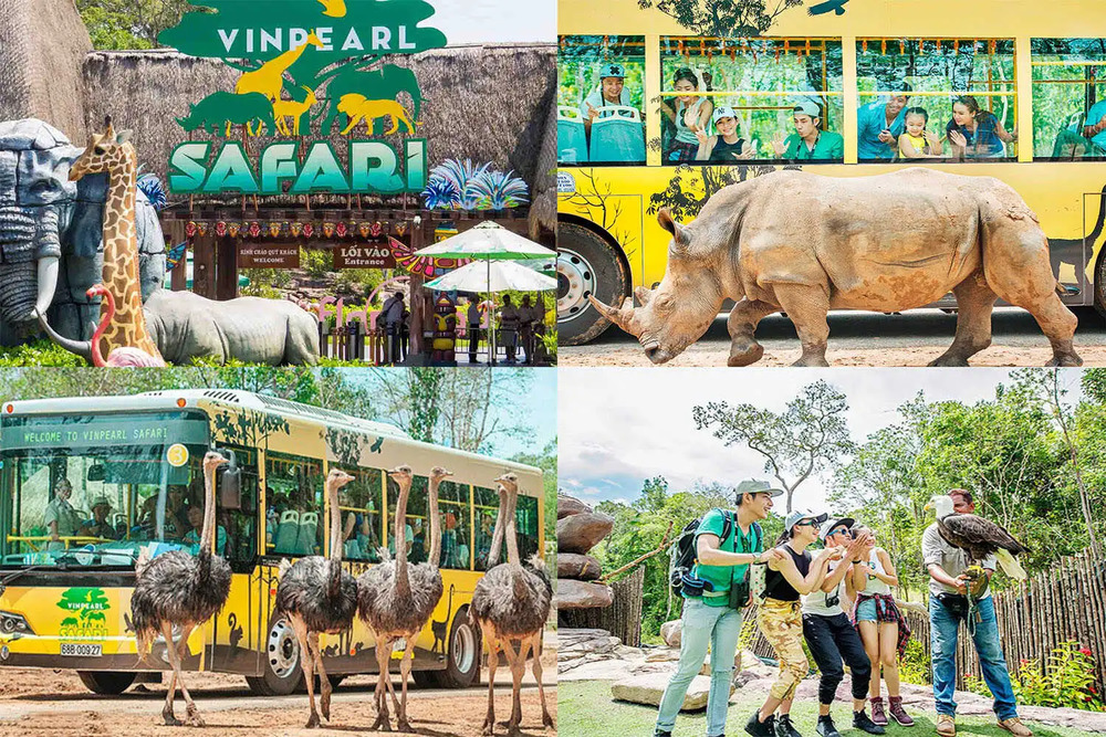 Vinpearl Safari Phú Quốc - Điểm đến không thể bỏ qua trong hành trình khám phá hòn đảo Phú Quốc của bạn (Ảnh: Sưu tầm internet)