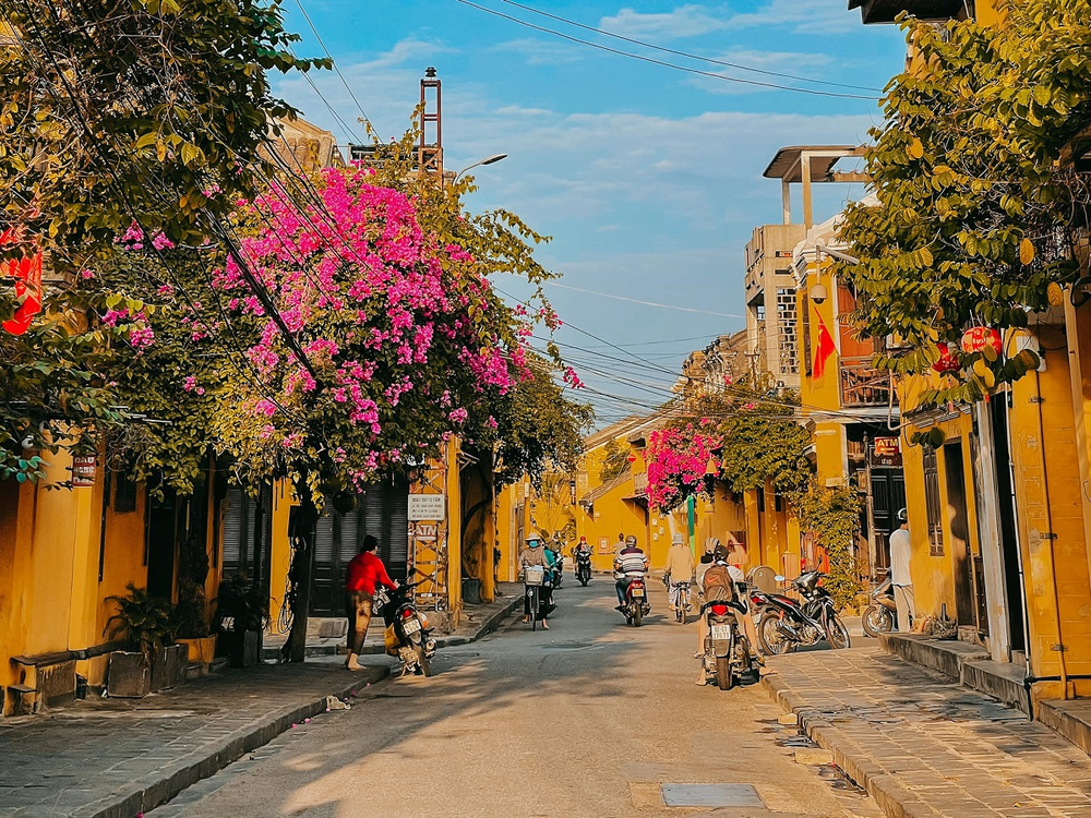 Tường vàng Hội An nổi bật dưới ánh nắng, tạo nên background “không góc chết” (Ảnh: Sưu tầm Internet)